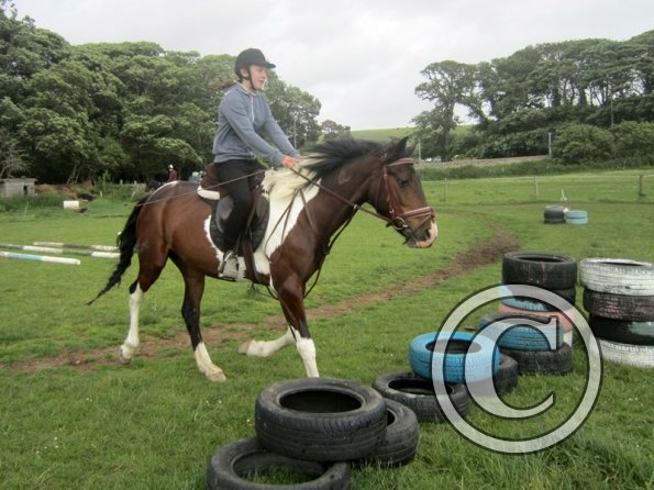 Daisy Mouse and Mia (7)