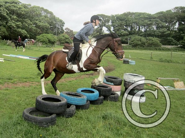 Daisy Mouse and Mia (8)