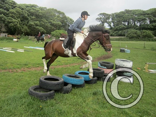 Daisy Mouse and Mia (9)