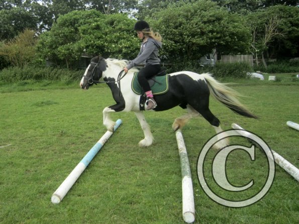 Libby and Willow (17)