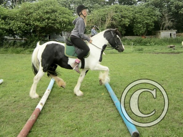 Libby and Willow (3)