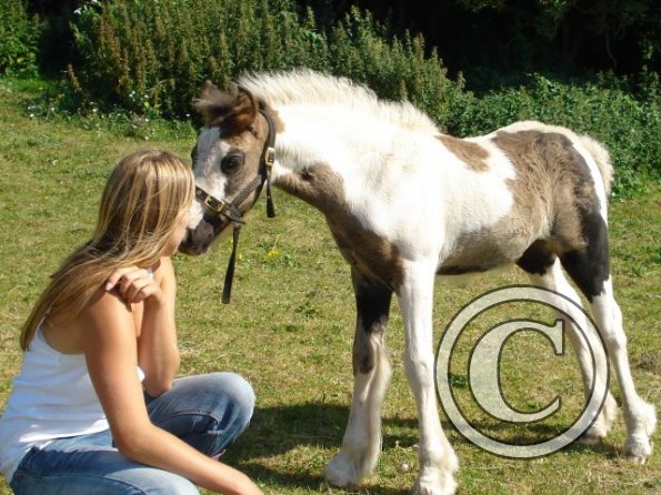 Georgina &amp; Hoppit