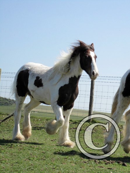 Lance and Morgan (6)