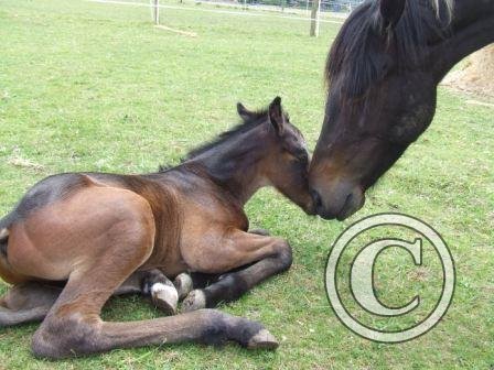 Bonding Moment 12June09