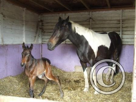 Good morning! 13June09