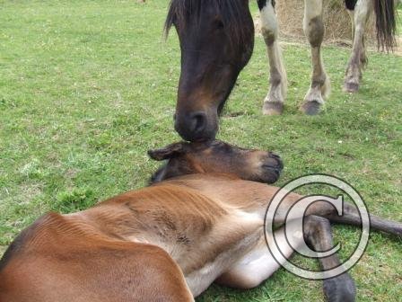 Having a wash 12June09