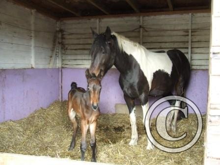 Lacey &amp; Fluke 13June09