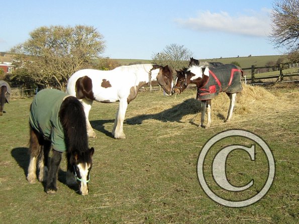 Ghost meets Lance (2)