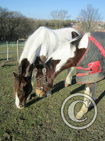 Ghost meets Lance (3)