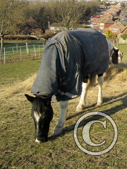 JD really doesnt care