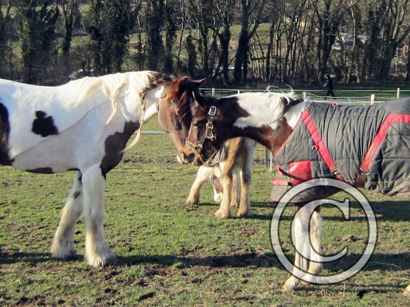 Lance meets Ghost (2)