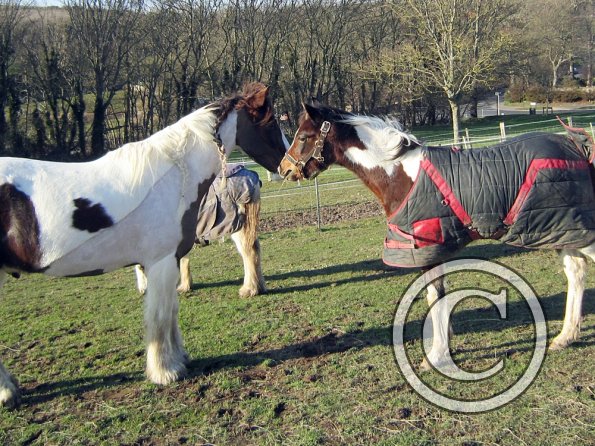 Lance meets Ghost (5)