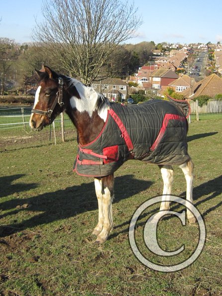 Lance meets Ghost (6)