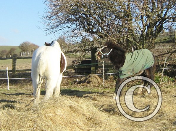 Teddy meets Lance (2)