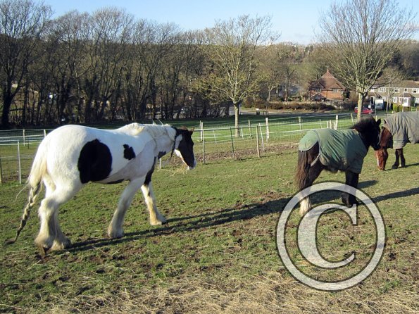 Teddy meets Lance (4)