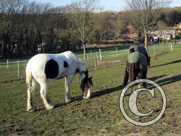 Teddy meets Lance (5)