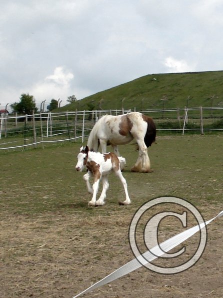 Learning to run (10)