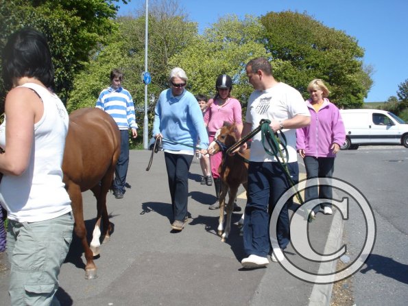 0 Transferring Spring 2