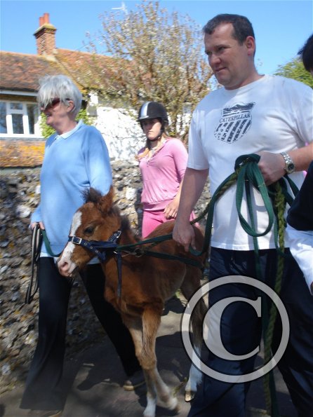 0 Transferring Spring