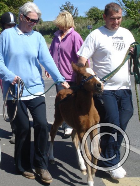 0 transferring Spring 3