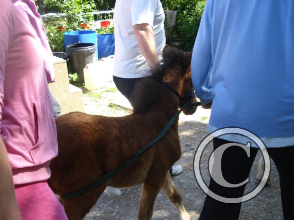 0 transferring Spring 4