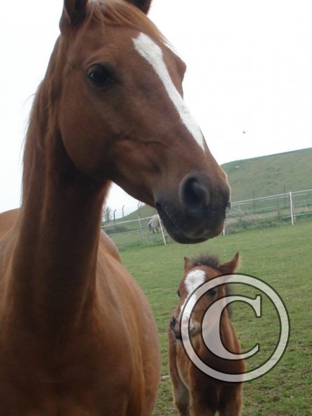 Molly and Spring - 3 weeks old