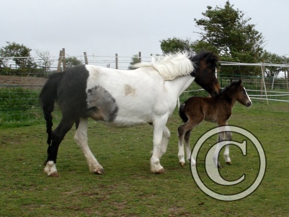 In the field for the first time