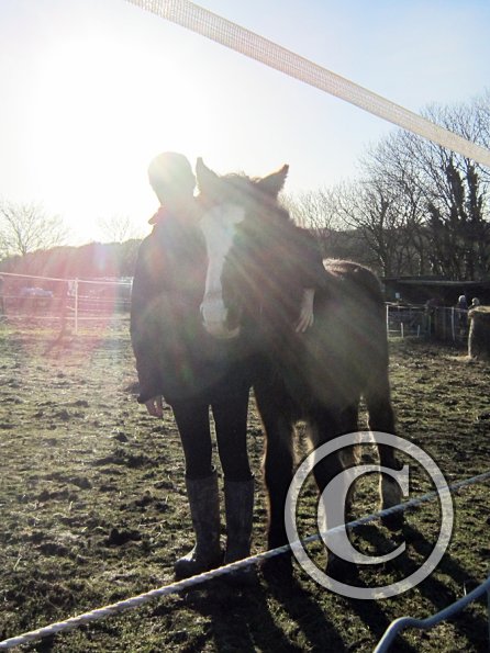 Ghost and Teddy weaning (15)
