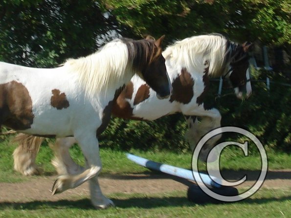 Lance doesnt feel like working