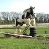 Lucy jumping (11)