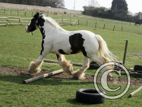 Lucy running around (23)