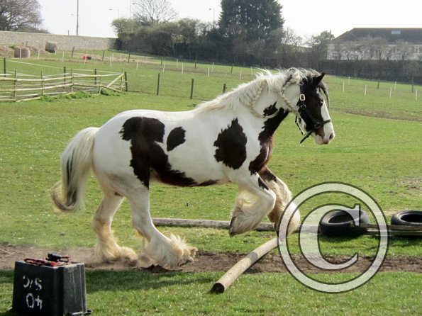 Lucy running around (8)