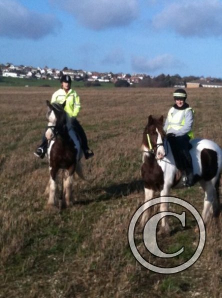 18372_280183038141_510153141_4417797_5672697_n