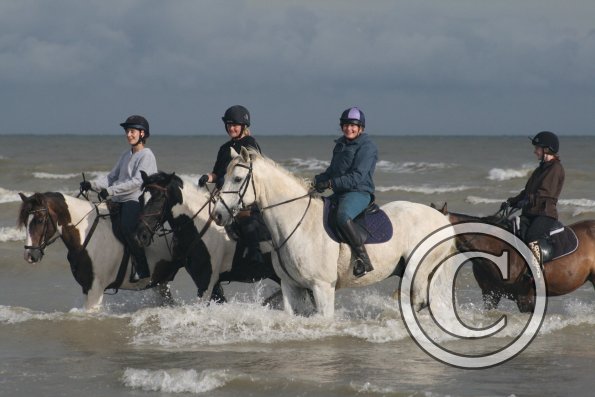 20280677_1956985727892537_7602603847751614020_o