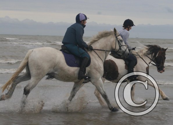 20280682_1956985771225866_2162326665747776487_o