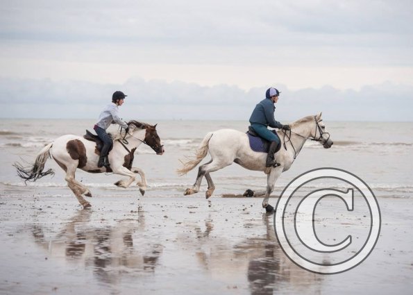 20292588_1956985431225900_2664093521370380245_n