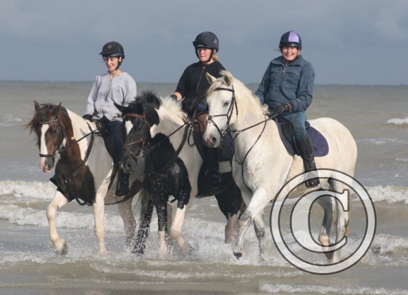 20369542_1956985724559204_3696419236921204247_o