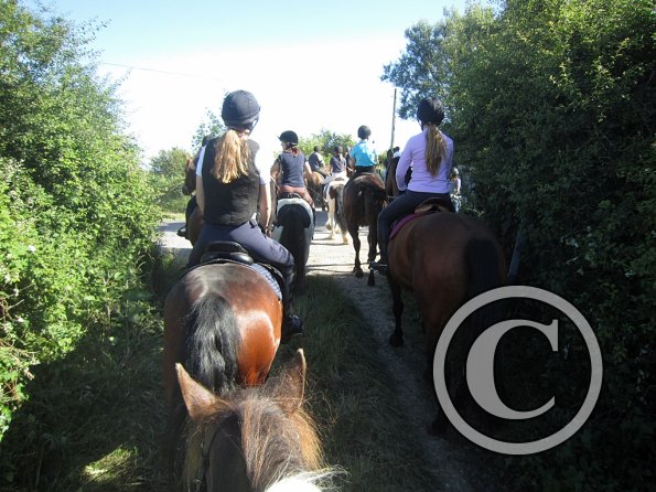 Coakham beach ride (10)