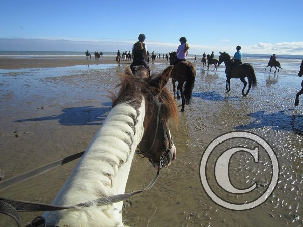 Coakham beach ride (14)
