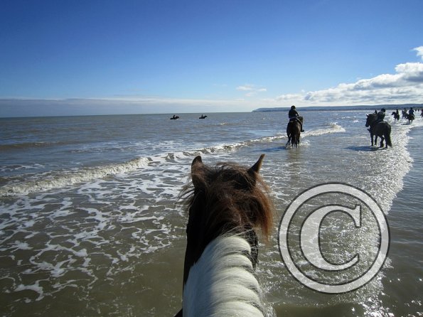 Coakham beach ride (15)