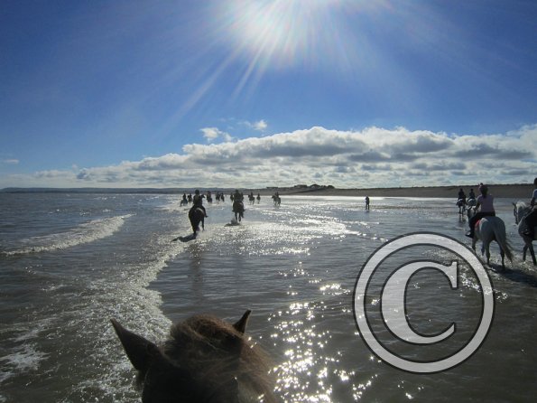 Coakham beach ride (16)