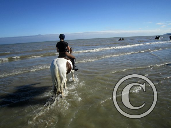 Coakham beach ride (17)