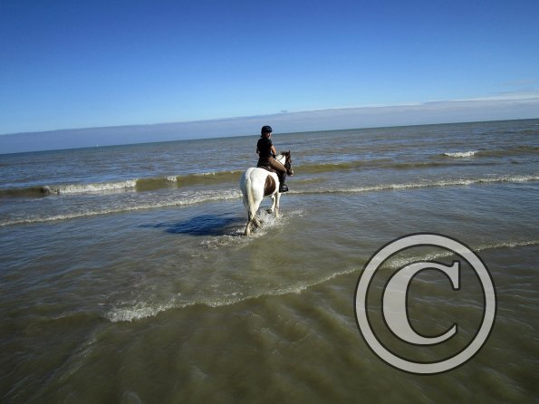Coakham beach ride (18)