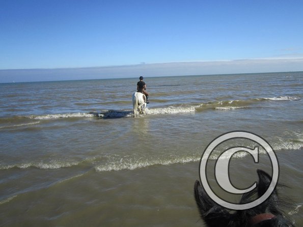 Coakham beach ride (19)