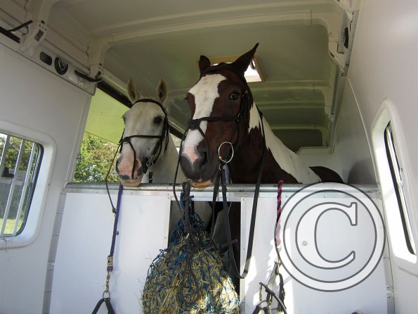 Coakham beach ride (2)