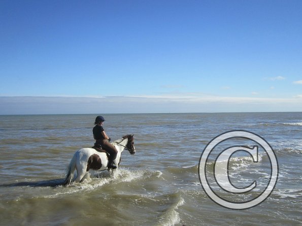 Coakham beach ride (20)