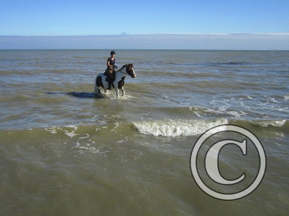 Coakham beach ride (21)