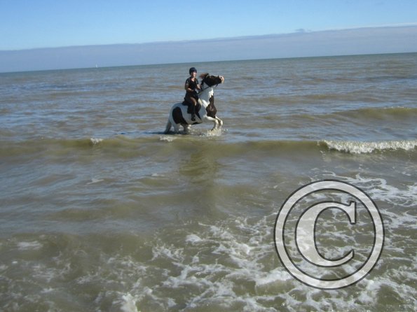 Coakham beach ride (22)