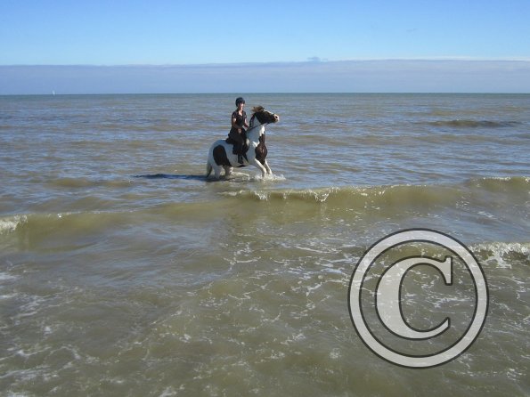 Coakham beach ride (23)