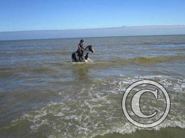 Coakham beach ride (24)